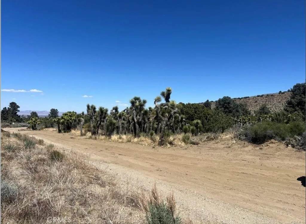 https://bt-photos.global.ssl.fastly.net/sandiego/orig_boomver_1_306614274-1.jpg