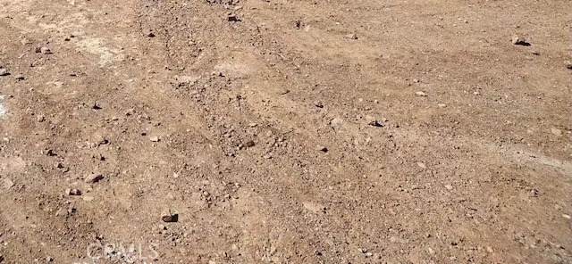 12 Division - Photo 1