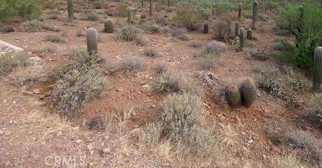 0 Vac/ Challenge Wy Vic Ave # L - Photo 1