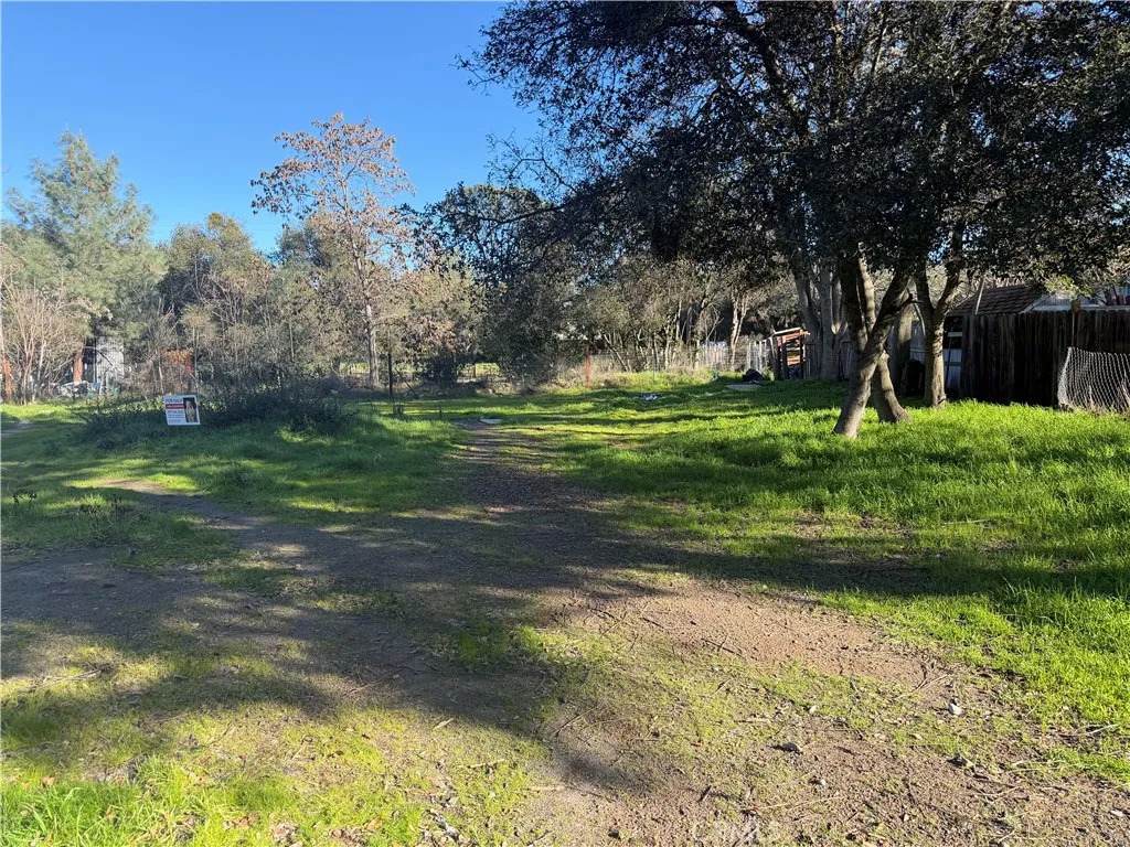 3626 Oleander - Photo 1