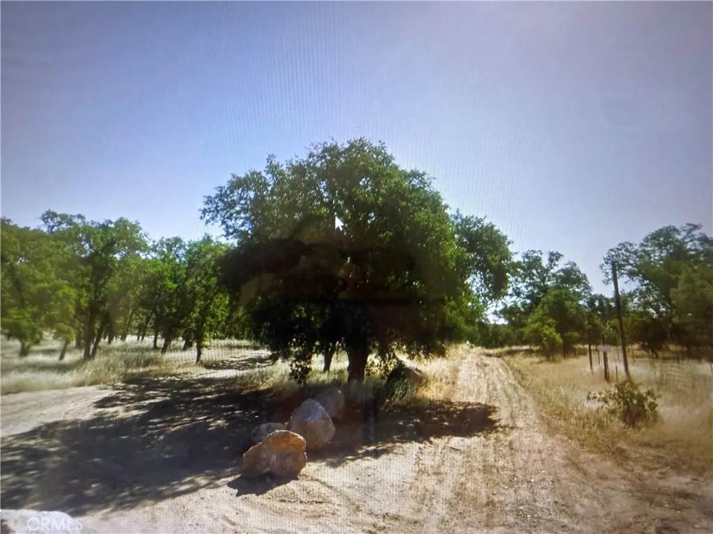 16409 Arroyo - Photo 1