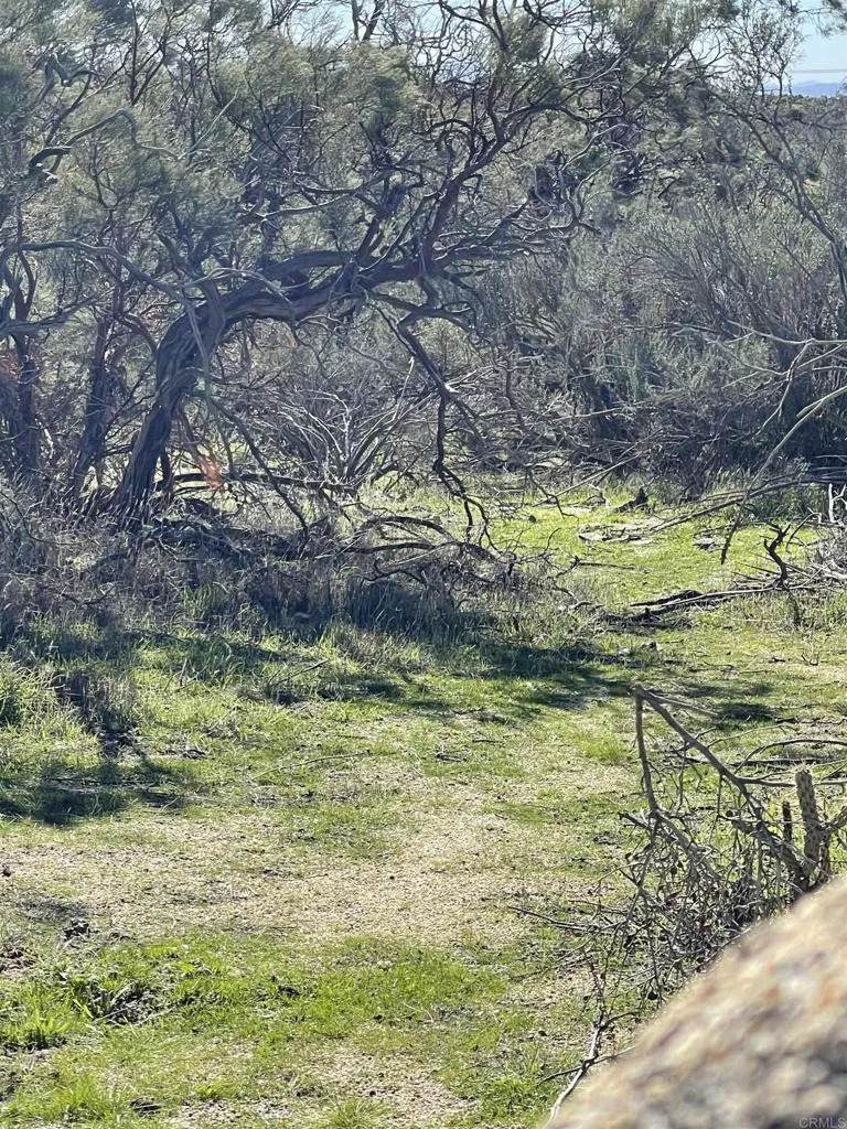 https://bt-photos.global.ssl.fastly.net/sandiego/orig_boomver_1_306617058-1.jpg