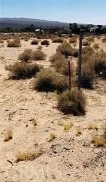 0 Chloride - Photo 2