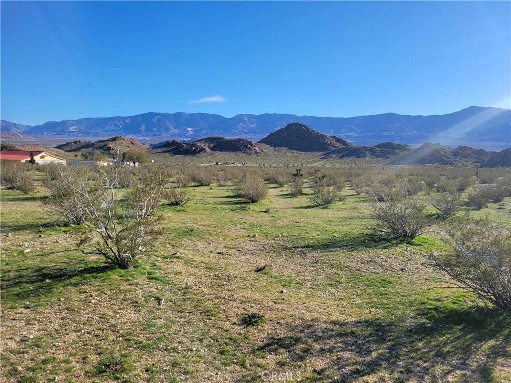 0 Rabbit Springs - Photo 1