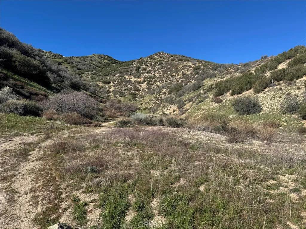 0 Munz Ranch Rd/150 W - Photo 1