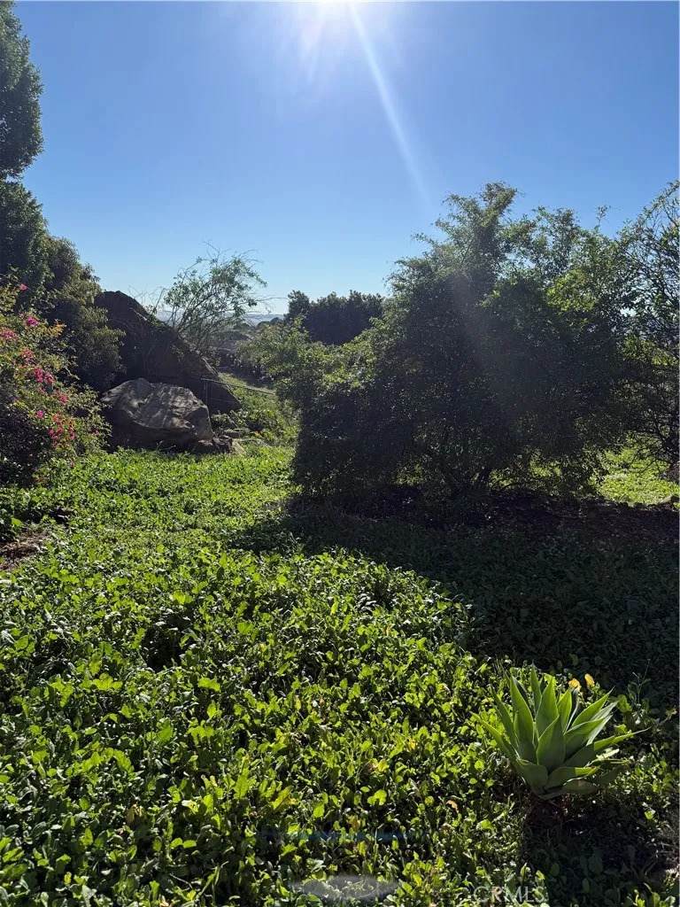 21776 Mojave Trail - Photo 1