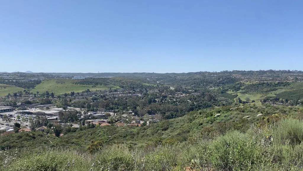 0 Dorathea - Photo 1