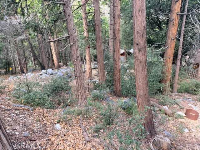 40904 Spruce - Photo 1