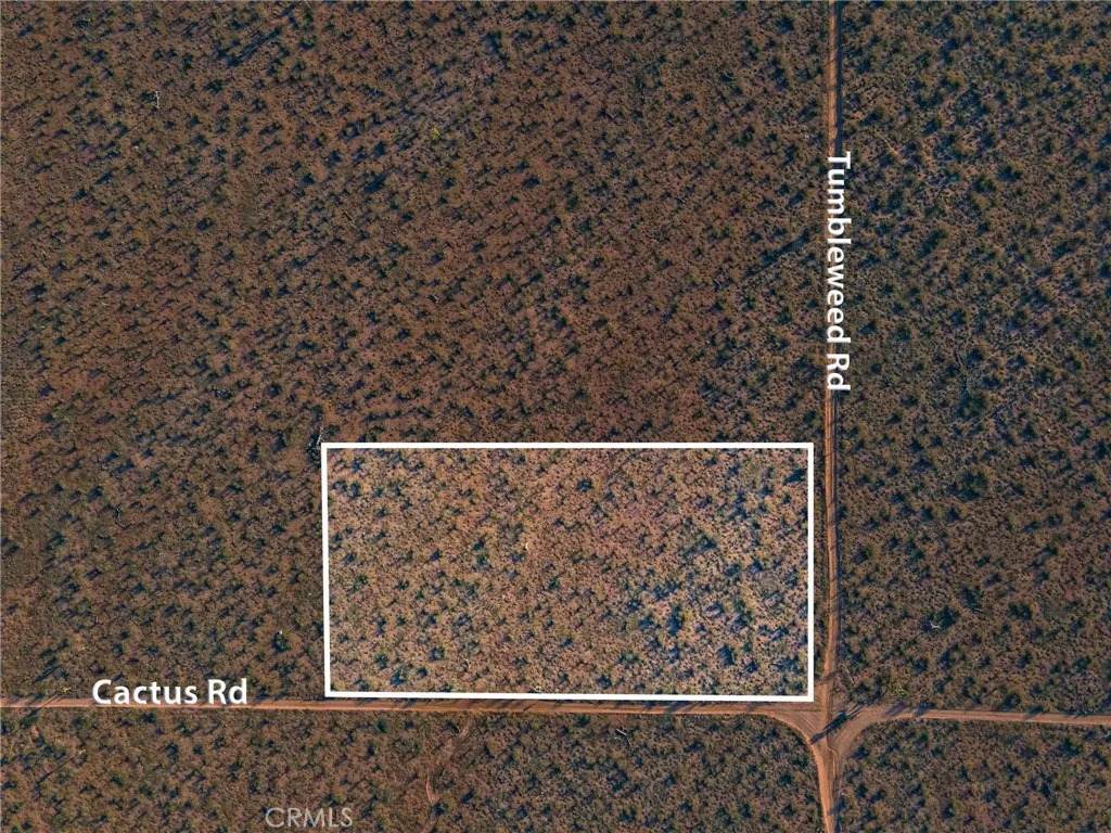 123 Tumbleweed - Photo 1