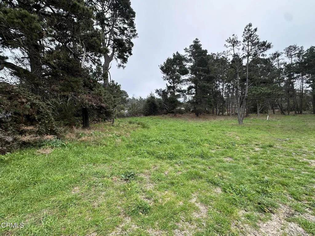 32875 Simpson - Photo 1