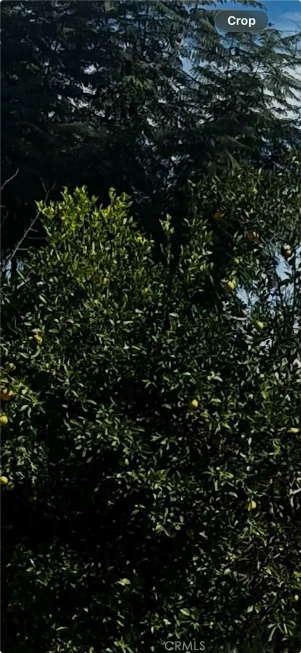 9667 Hillheaven - Photo 1