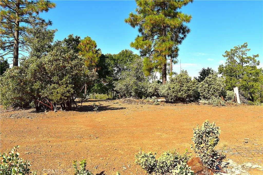 0 Incense Cedar Trl - Photo 1