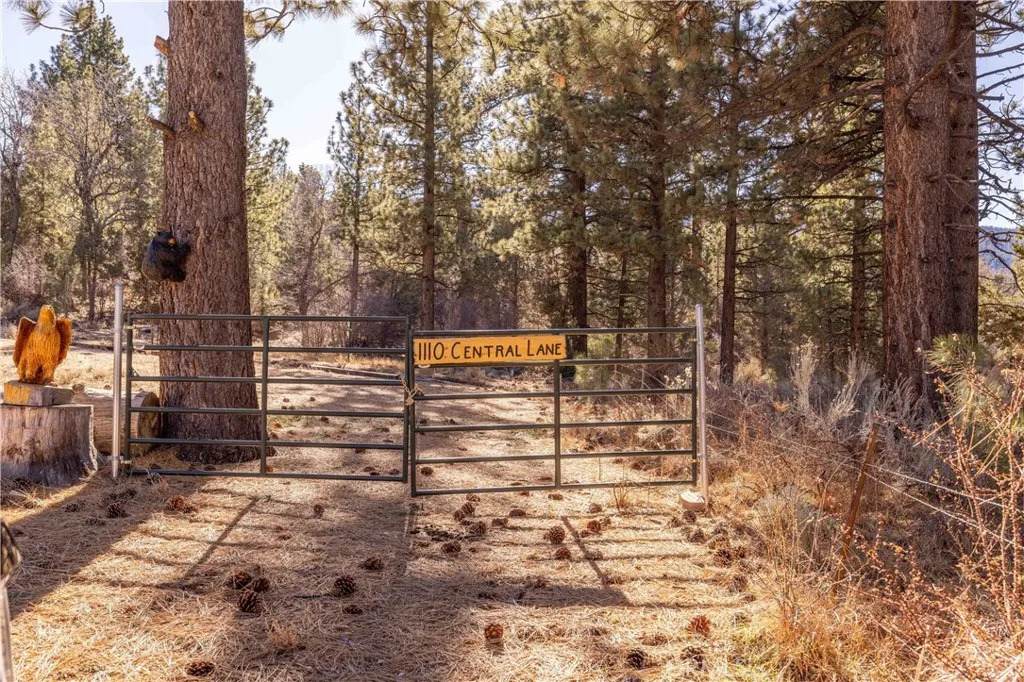 1110 Central - Photo 1