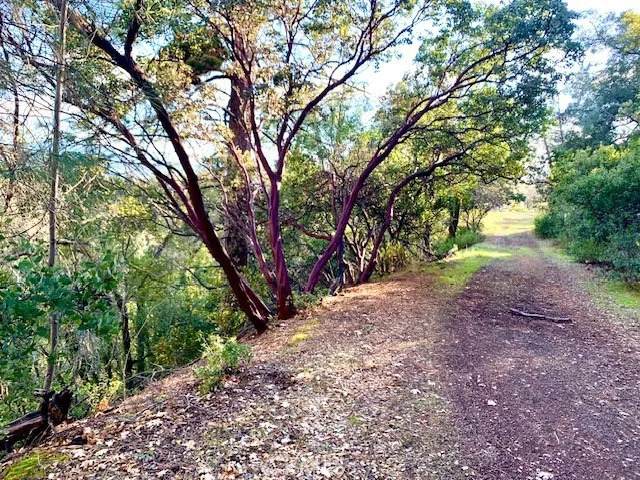 7333 Tehama - Photo 1