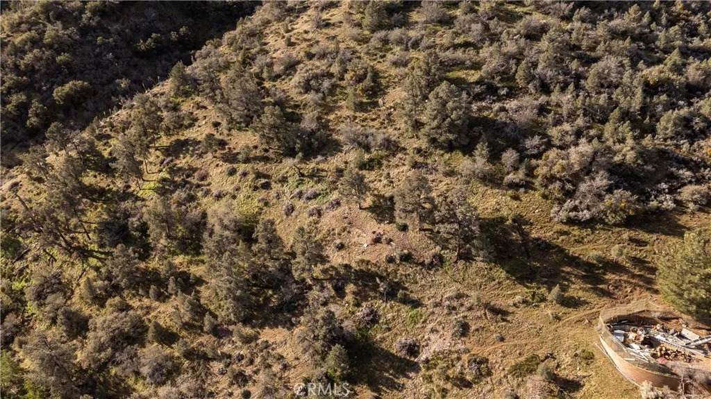 0 Frazier Park - Photo 1