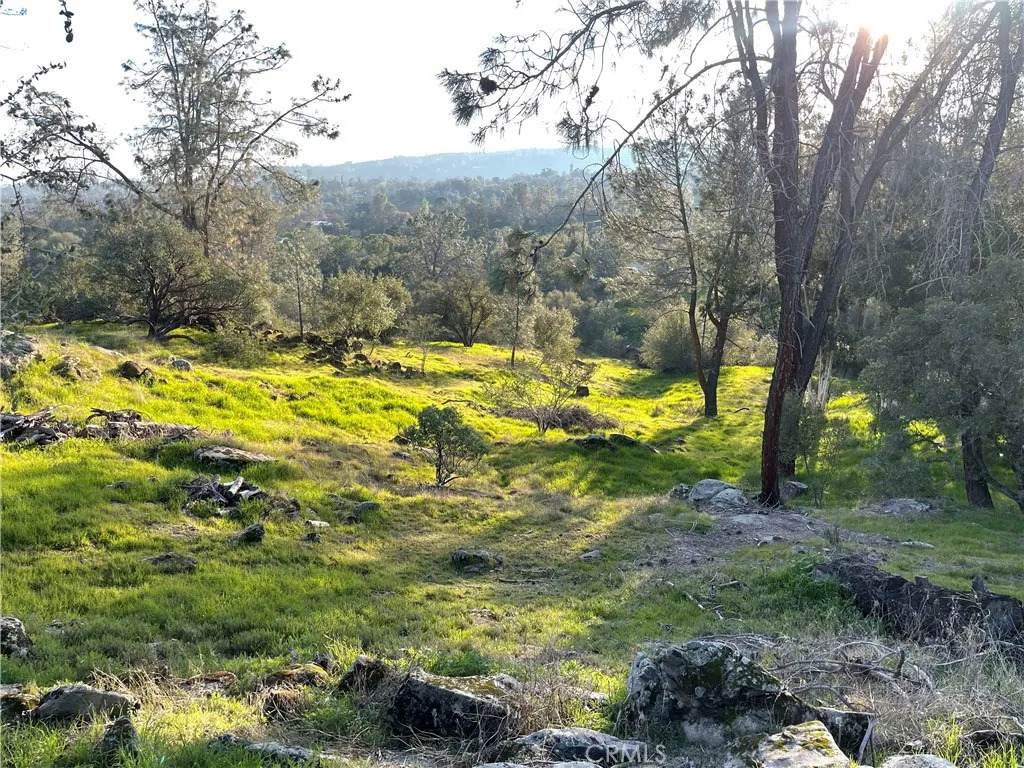 1220 Corral - Photo 1