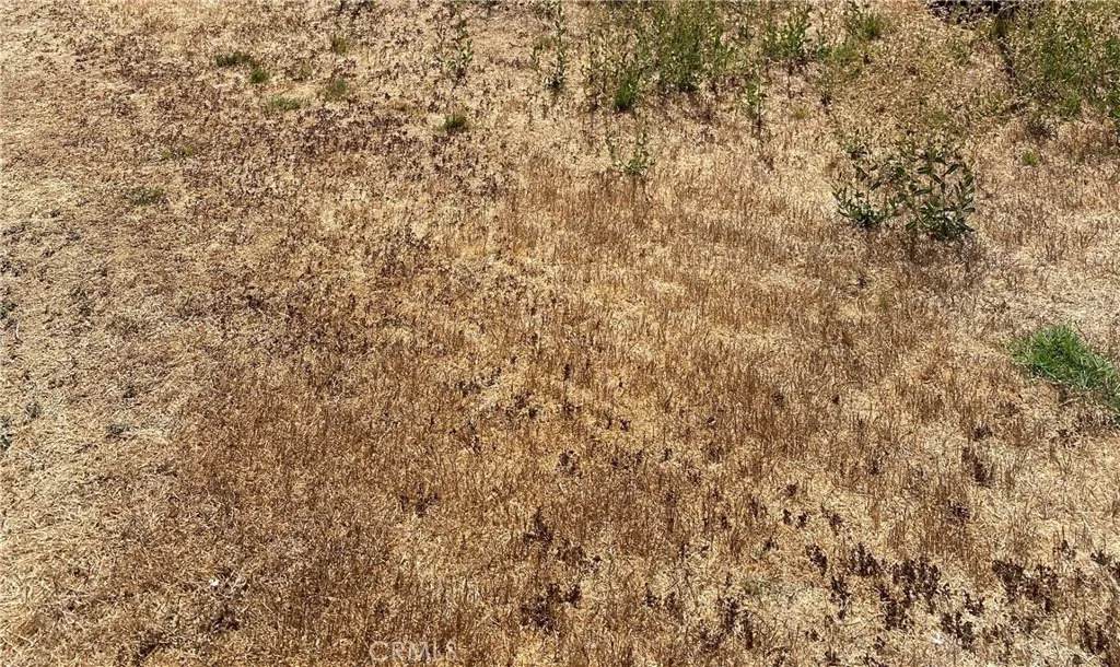 0 Vac/Ave G/Vic 125 Stw - Photo 1