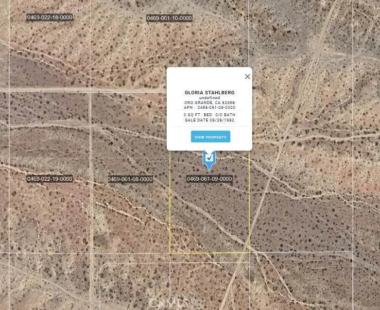 0 Elderberry - Photo 1