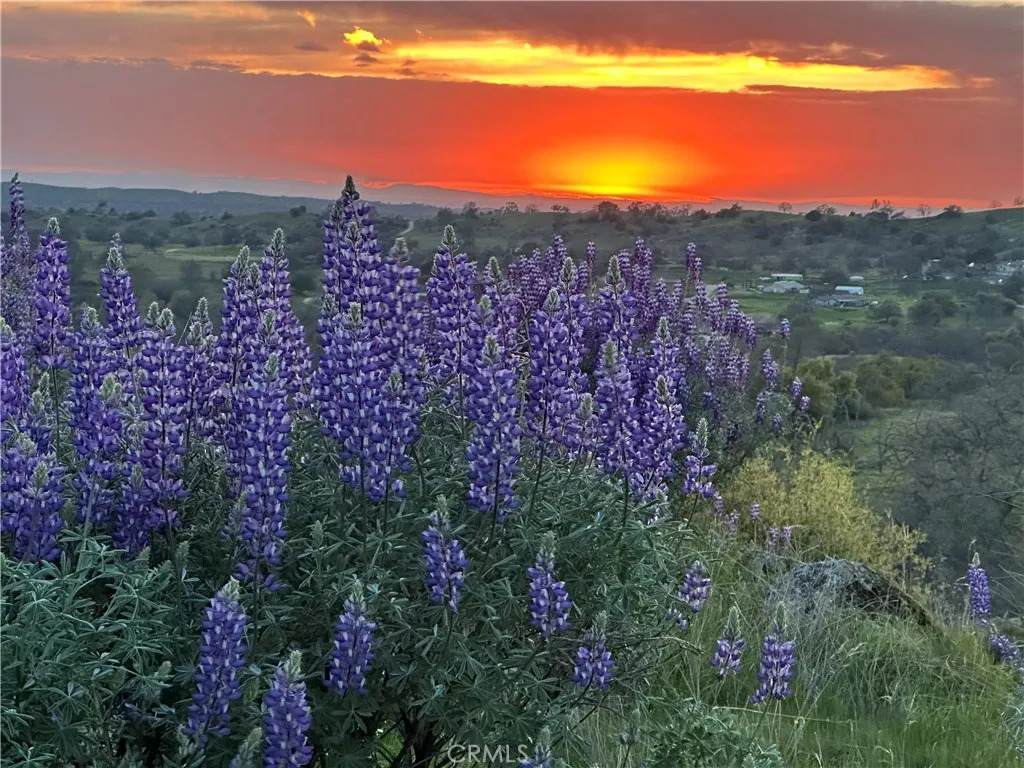 0 Spinecup Ridge - Photo 1