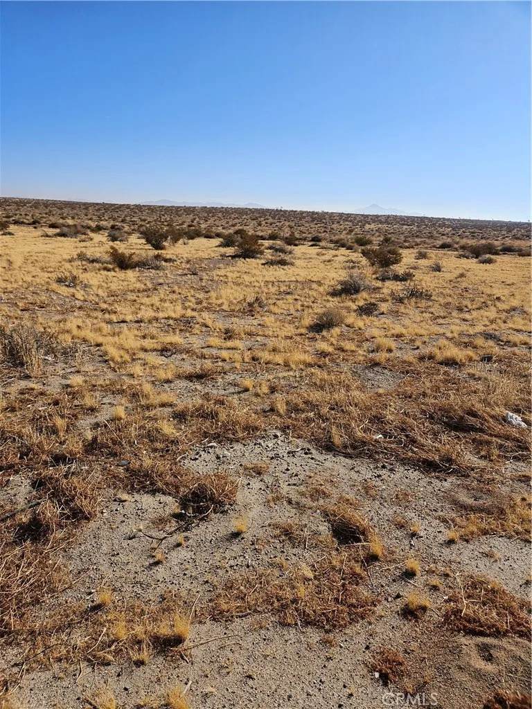 165 Avenue F - Photo 1