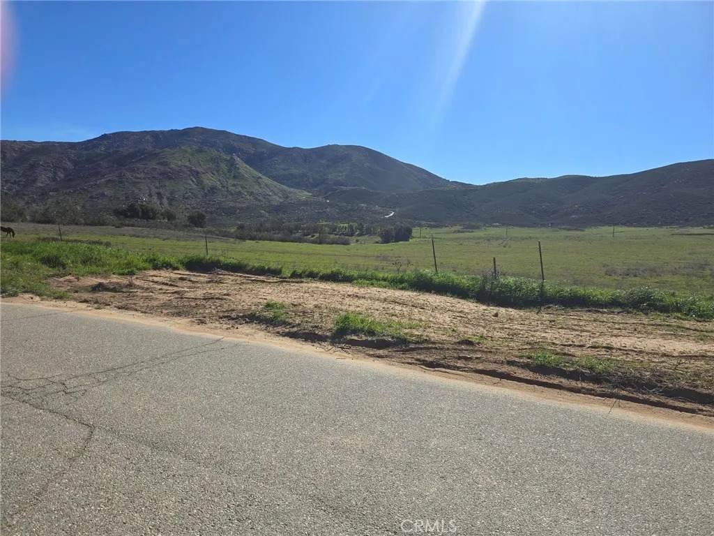 0 Longhorn - Photo 1