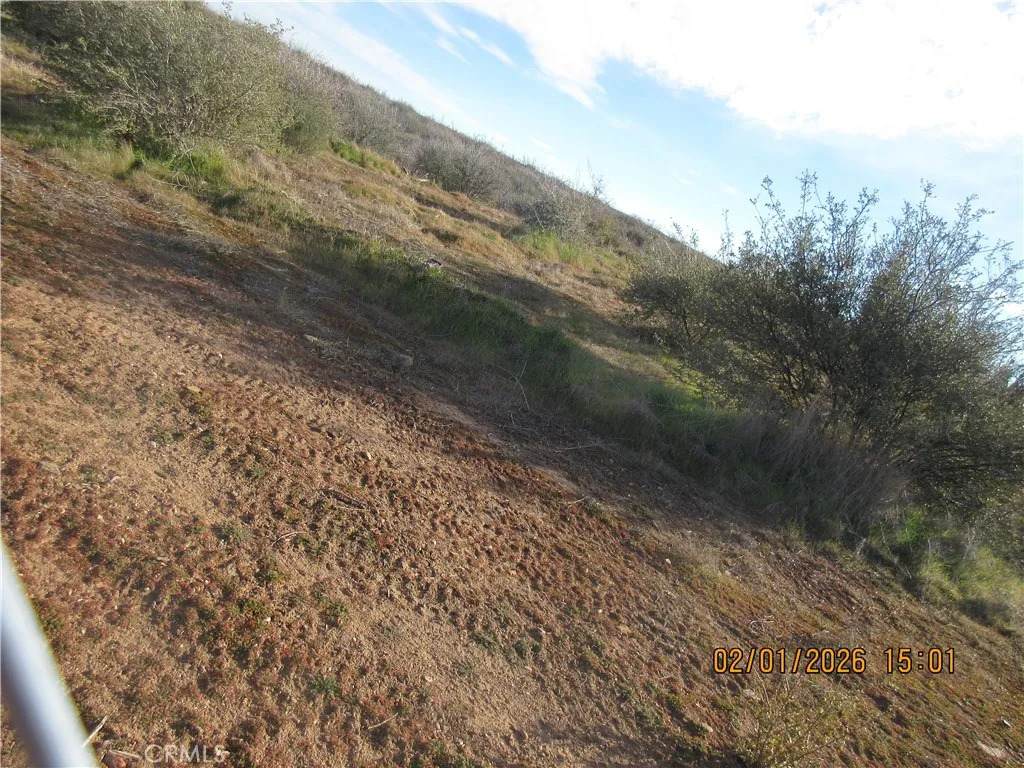 15220 Elderberry - Photo 1