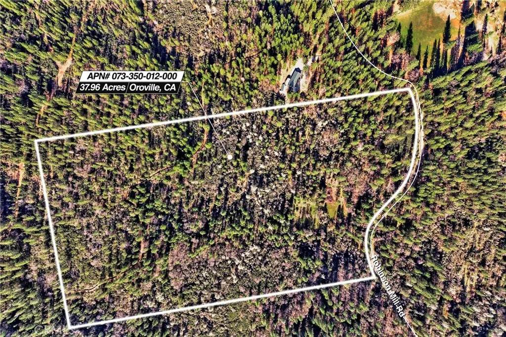 0 Robinson Mill Rd - Photo 1