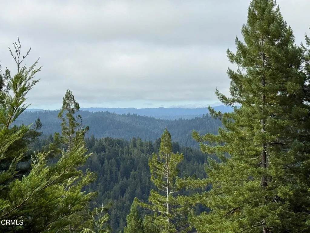 12301 Docker Hill - Photo 1