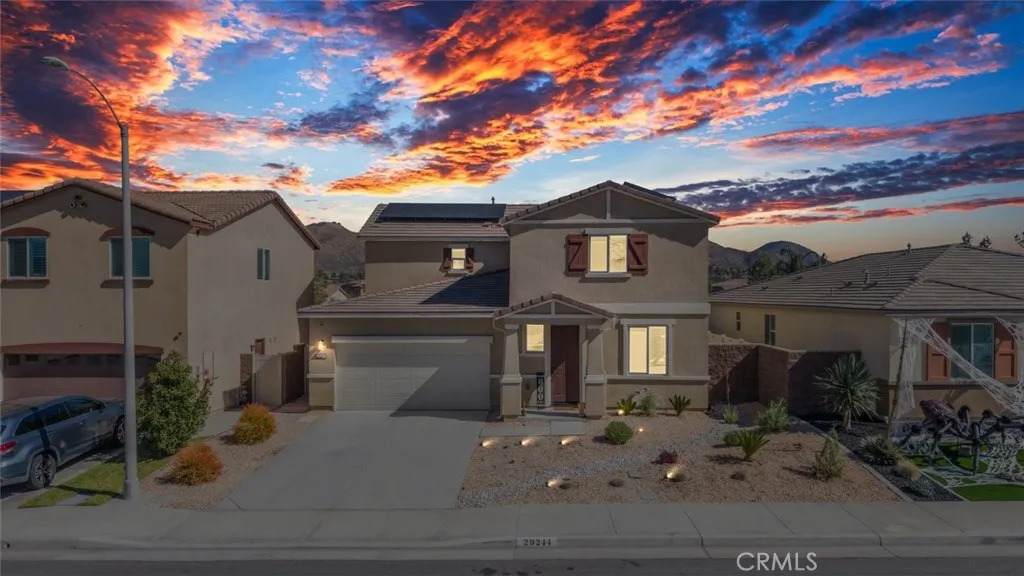 29244 Date Palm - Photo 1