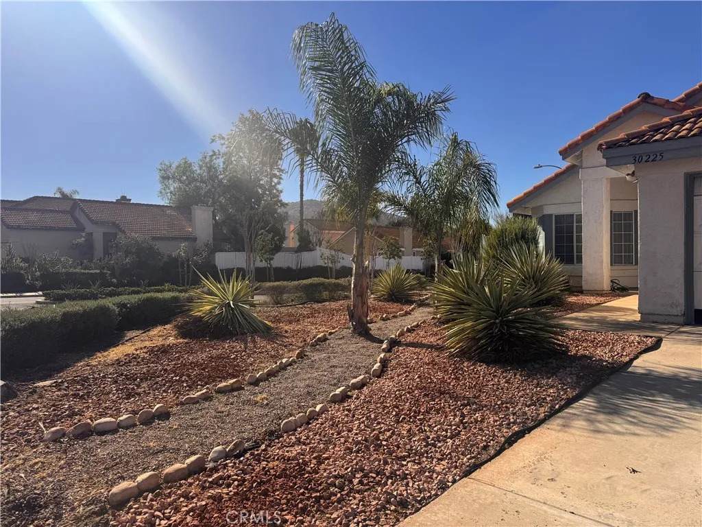 30225 Pechanga Drive - Photo 1
