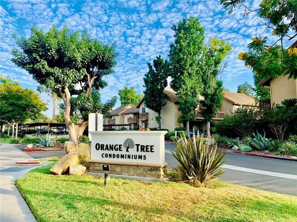 506 Orange Blossom - Photo 1