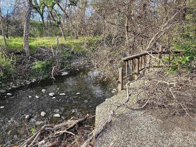 109 Sycamore Valley - Photo 1