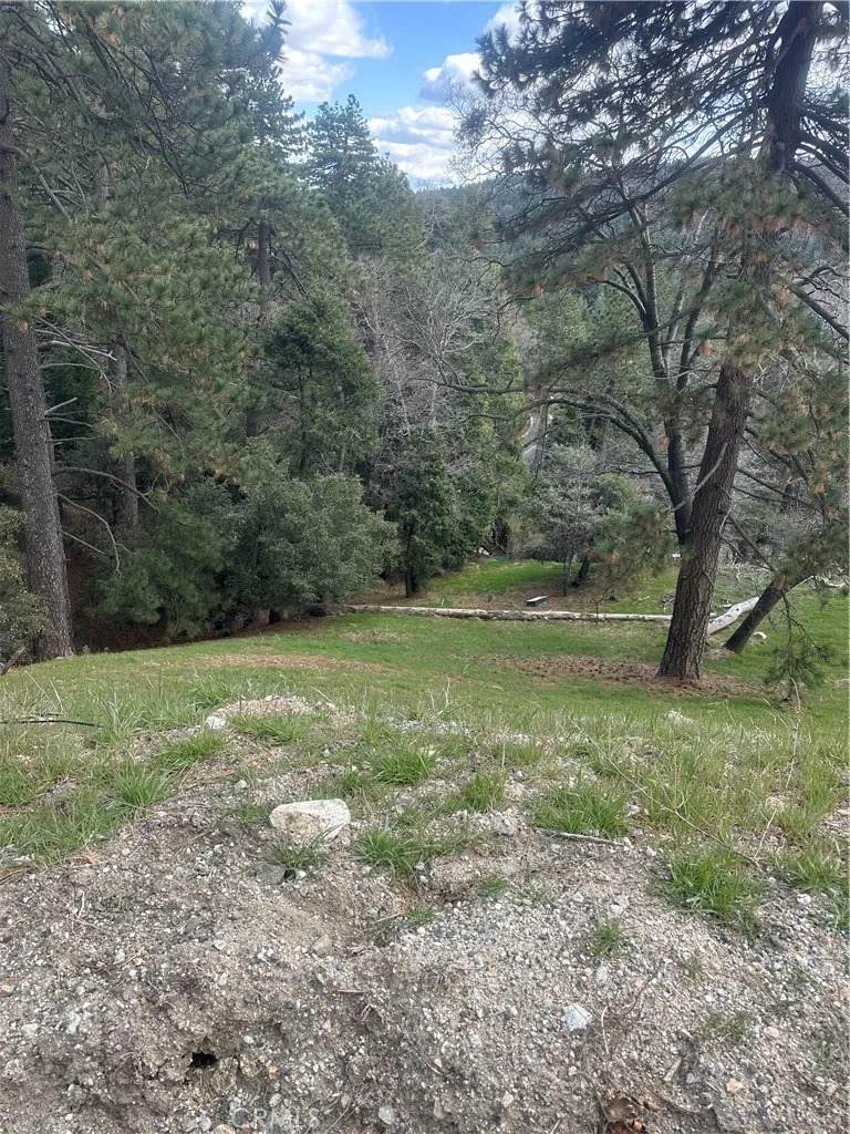 0 Fern Canyon - Photo 1