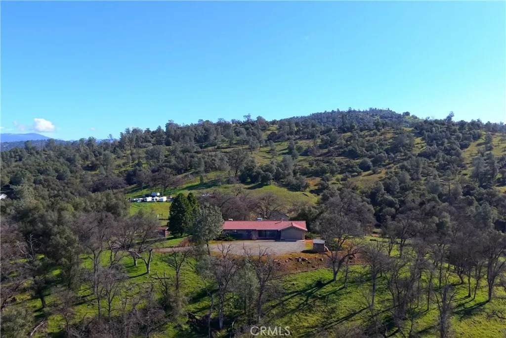 3729 Ben Hur Road - Photo 1