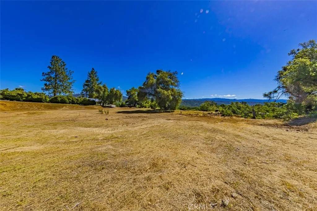 42514 Highway 49 - Photo 1