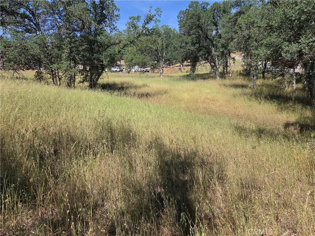 17087 Laramie - Photo 1