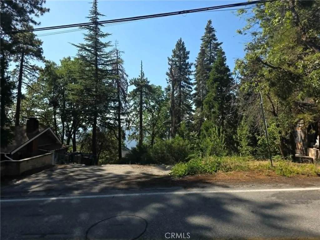 30778 Live Oak - Photo 1