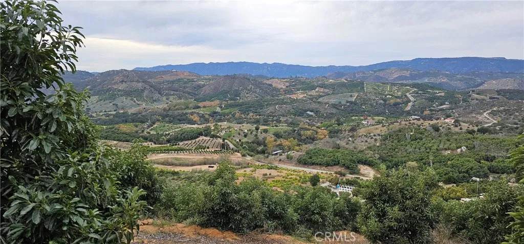 46700 El Prado - Photo 1