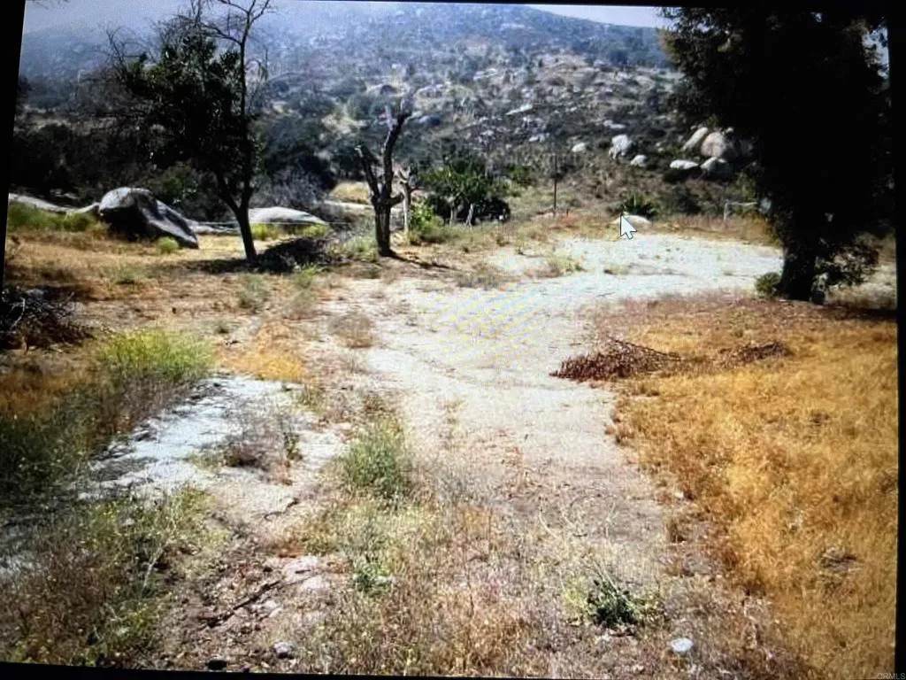 20670 Tumeric Way - Photo 1