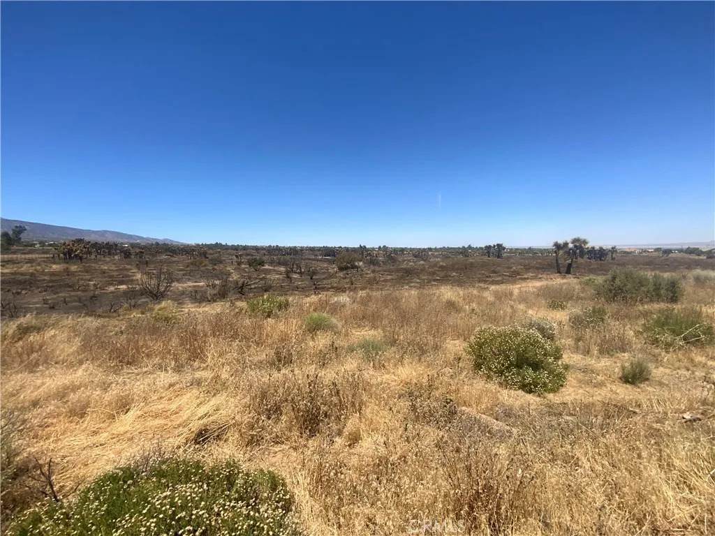 0 Joshua Tree - Photo 1