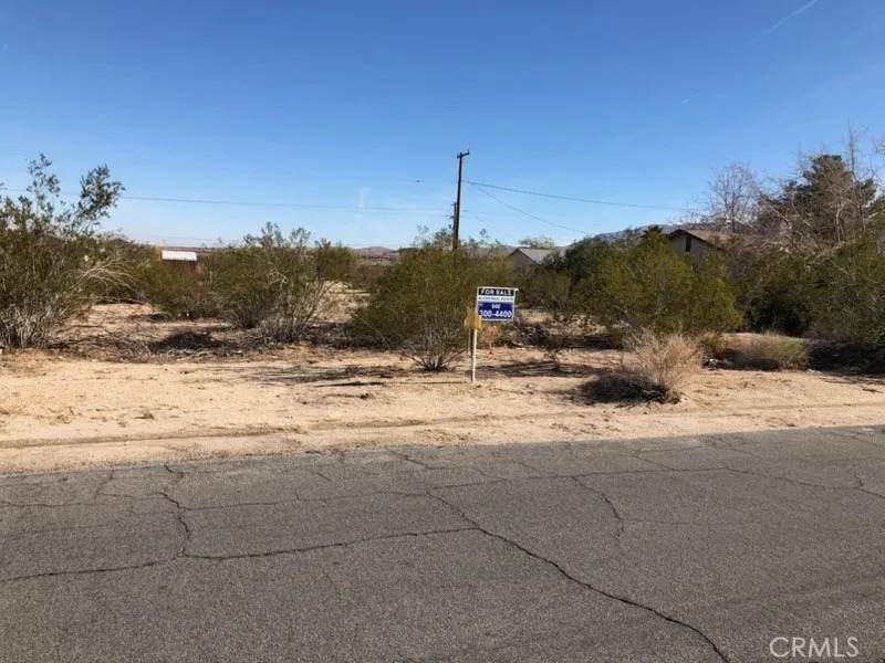 6325 Palm View - Photo 1