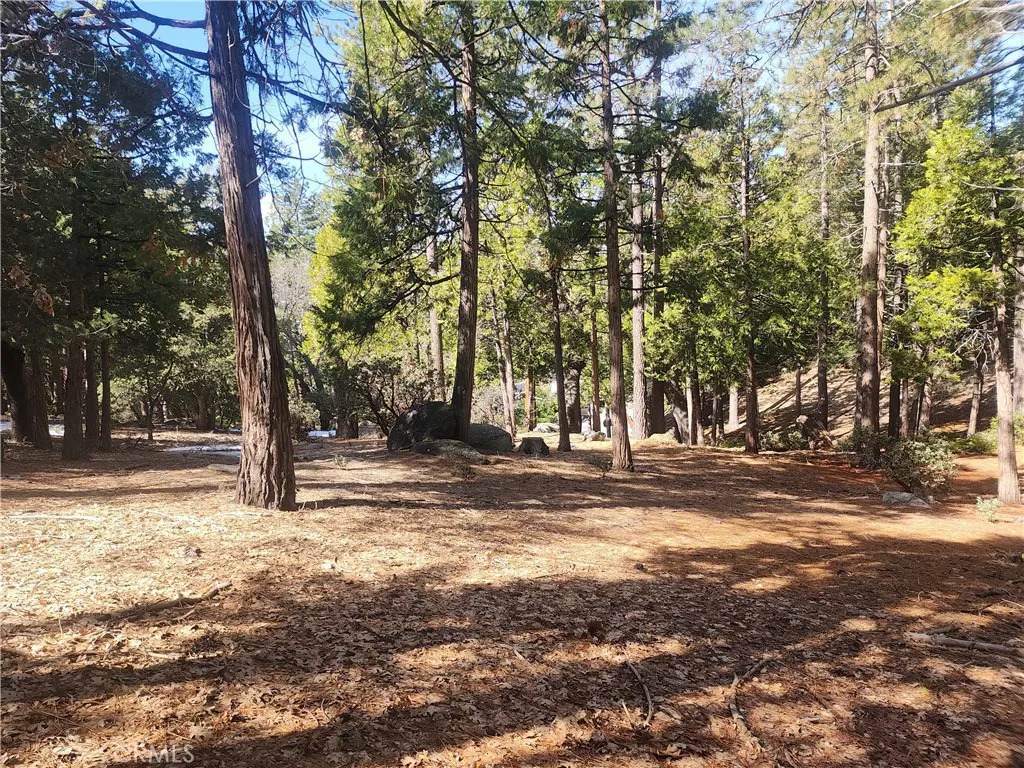 52547 Pine Cove - Photo 1