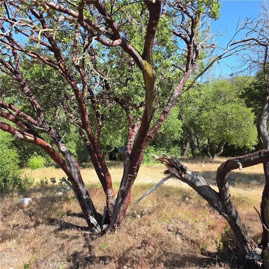 3367 3rd - Photo 1