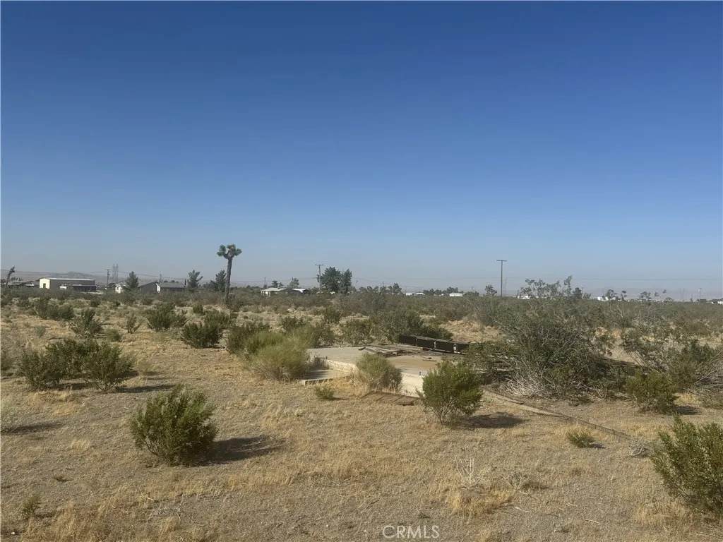 4432 Camellia - Photo 1
