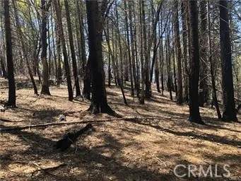 7097 High Valley - Photo 1