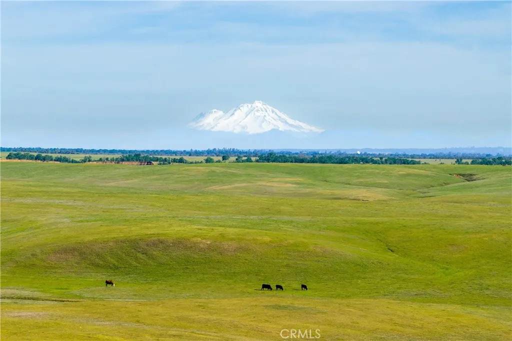 0 Rancho Tehama - Photo 1