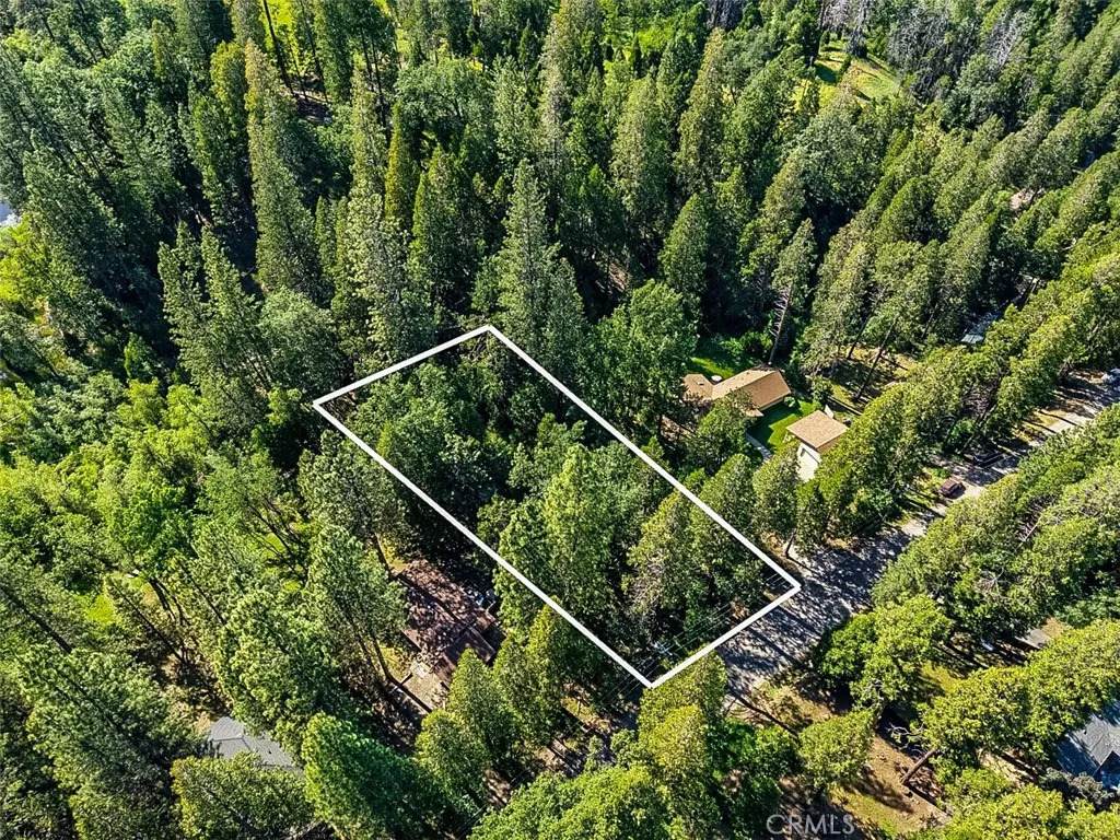 7083 Hites Cove - Photo 1