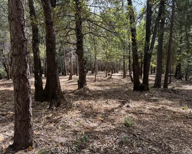 0 Platt Mountain - Photo 1