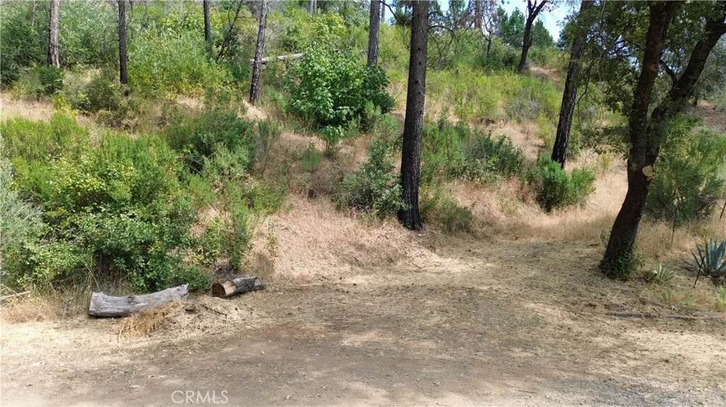 0 Feather Ridge - Photo 1