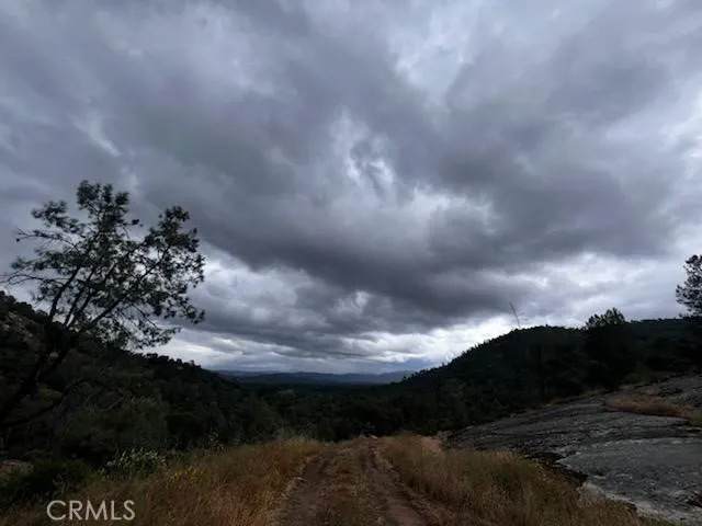 3631 Guadalupe Creek - Photo 1